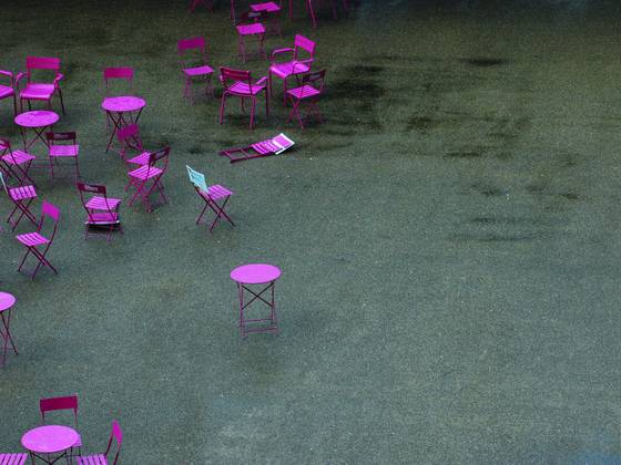 Urban_flamingos