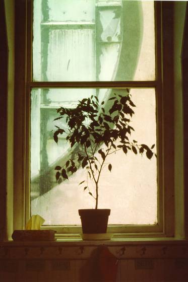 Church_school_window