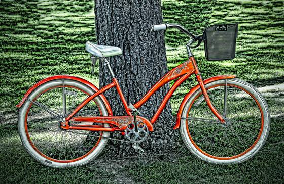 Bicycle_parked_in_the_park