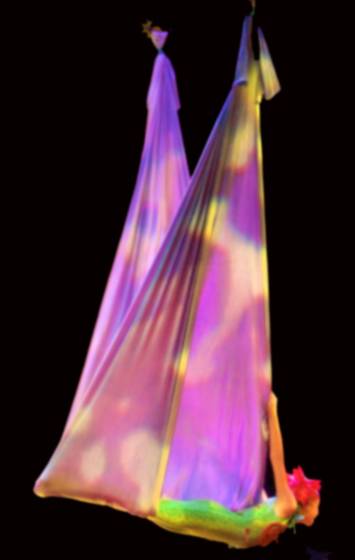 Flying_colors
