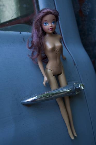 Door_ornament