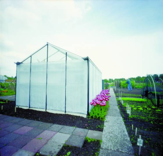 Allotment_garden