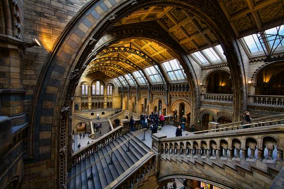 Museum_of_natural_history
