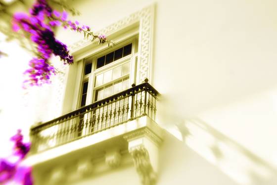 Flagler_window_with_flower