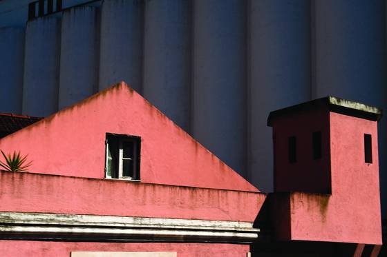 Salmon_building