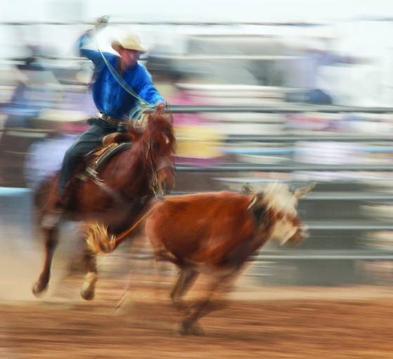 Rodeo_impressions