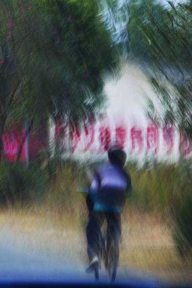 Beijing_biker_with_house_and_trees__beijing