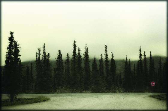 Denali_wilderness