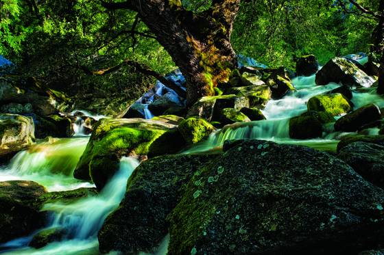 Spring_runoff