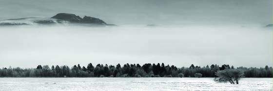 Jackson_hole_frost