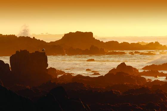 Misty_sunset