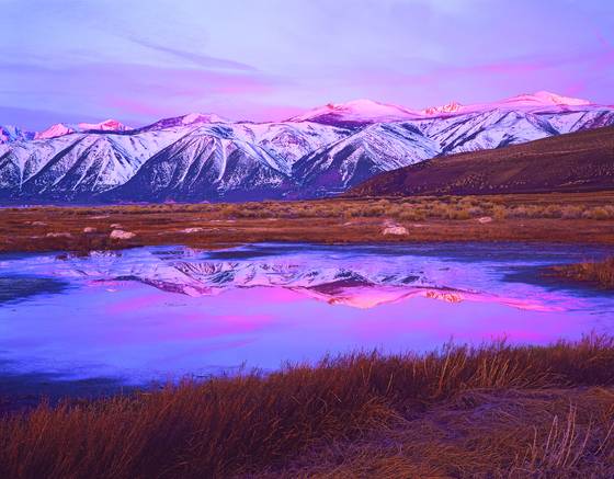 Morning_reflections