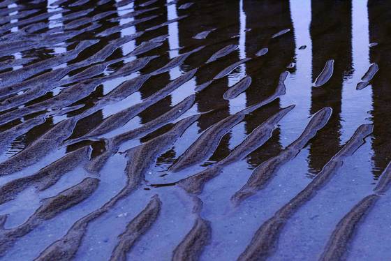 Ebb