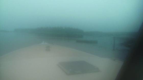 Fog
