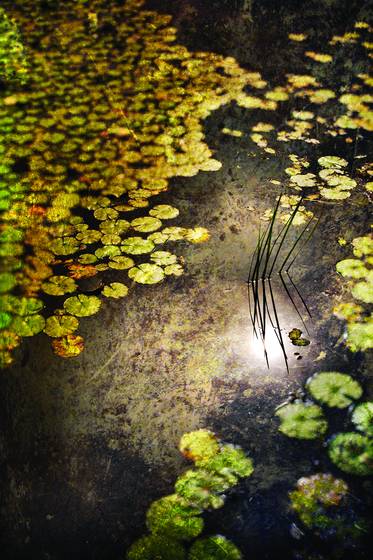 Surface_tension