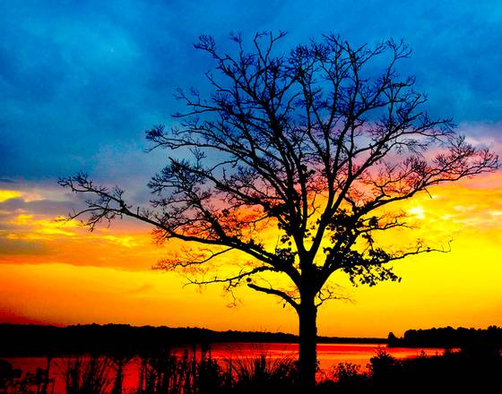 Lake_jordan_sunset