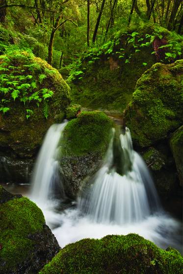 Cataract_creek