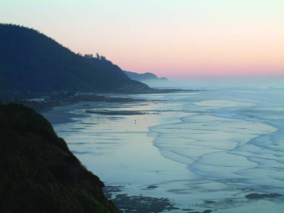 Sea_rose_beach_at_sunset