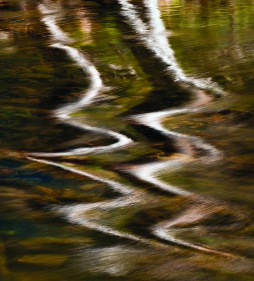 Twisted_trees