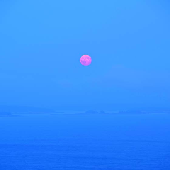 Harvest_moon