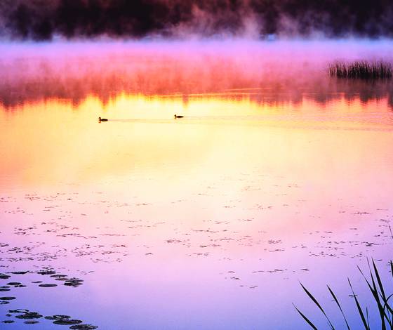 Dawn_on_columbia_lake