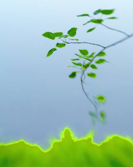 Grass_glow