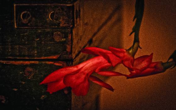 Flowerchest