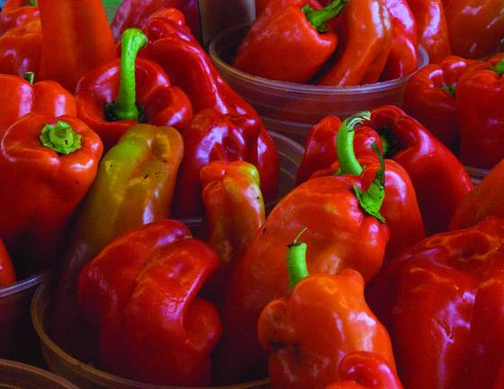Red_peppers