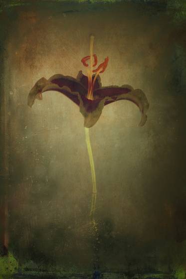 Dissonance_10