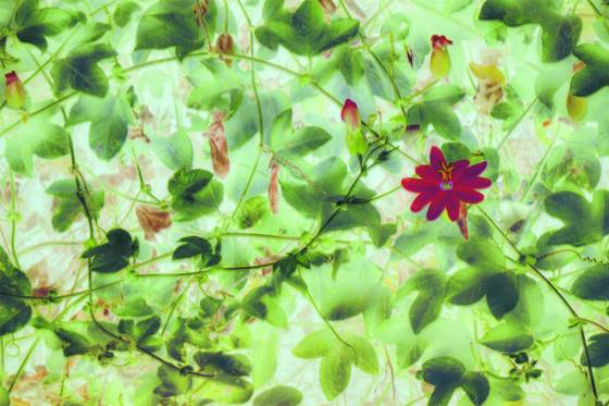 Untitled_2