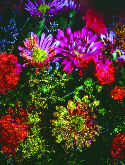 Bouquet