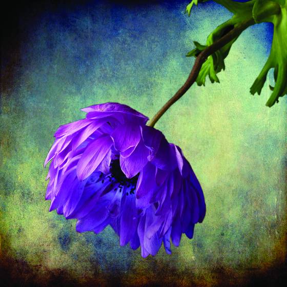Melancholy_memories