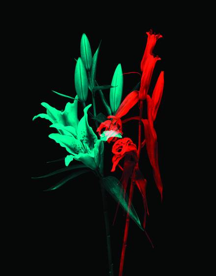 Untitled_1