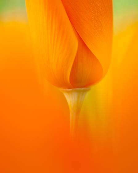 Rising