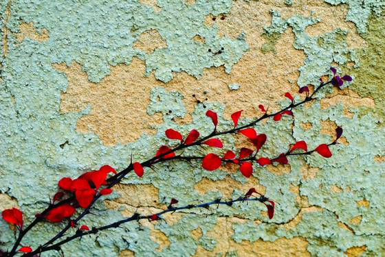Novmber_design_iii