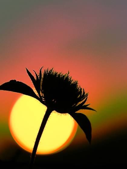 October_sunrise