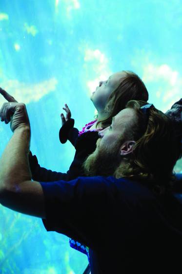 Aquarium_wonders