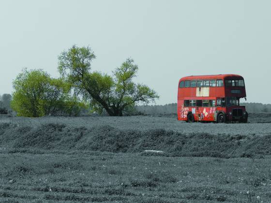 Bus_in_field