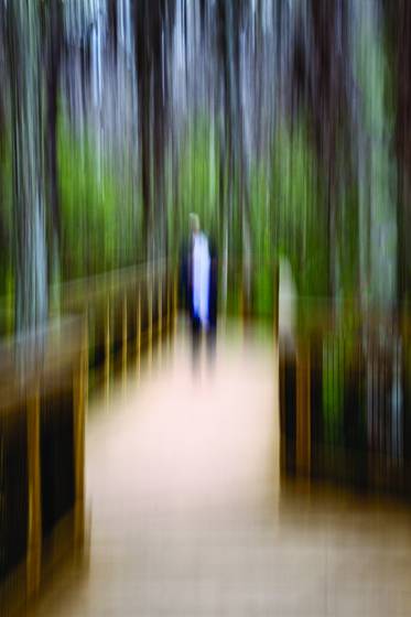 Joel_on_cypress_walk