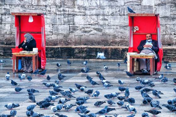 Plate_sellers