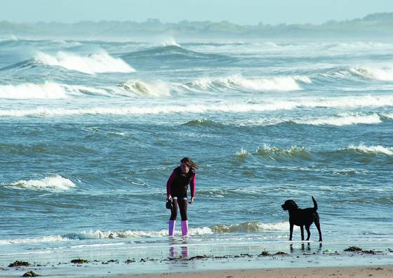 Sunday_on_the_beach