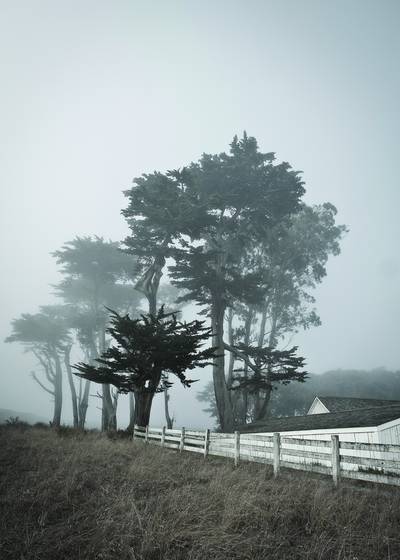 Pierce_ranch