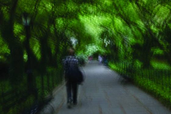 A_walk_in_the_park
