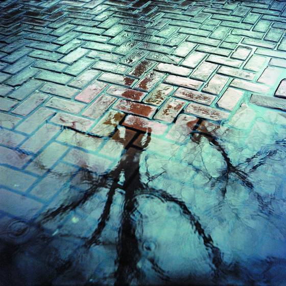 Rain