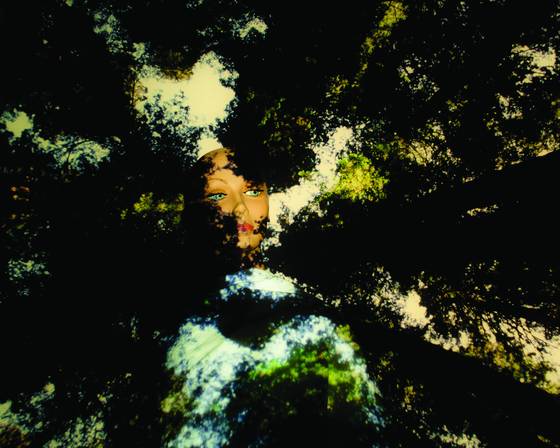 Untitled_1