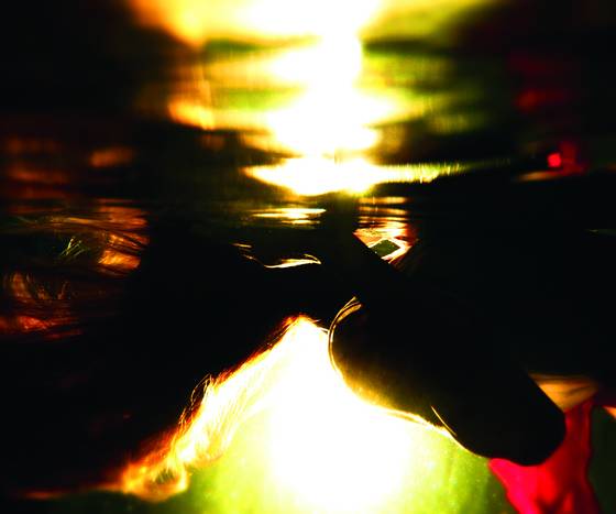 Underwater_plate_5