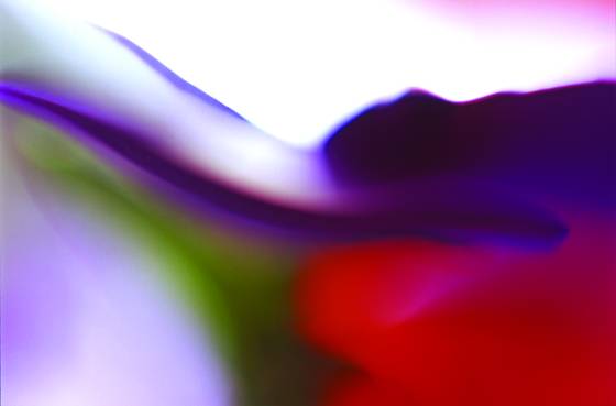 Untitled_2