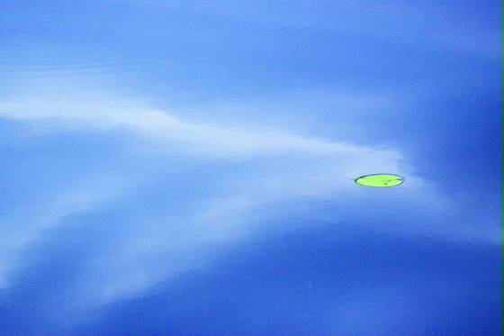 Drifting_n_clouds