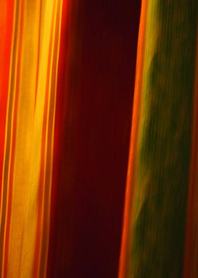 Roman_shades__2