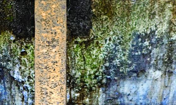 Surface